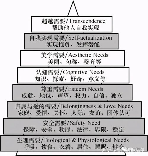 工作目的 从“止痛药”到“保健药”——非融资性担保业务的双重角色