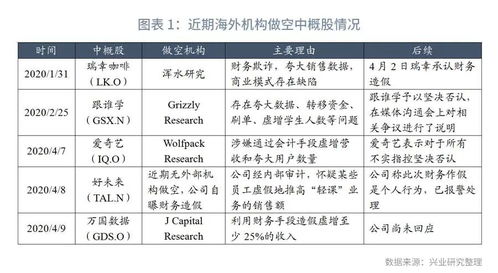 高成长光环下的财务迷局 中概股风险与担保业务隐忧深度剖析