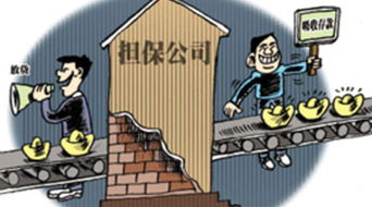 非融资性担保业务的管理办法与实践要点