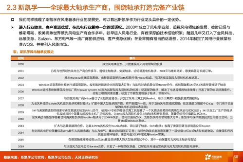 风电轴承行业深度研究 市场潜力、海外对标与业务延展性探索